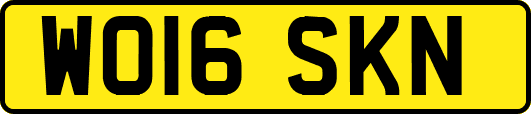 WO16SKN