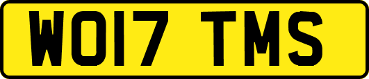WO17TMS