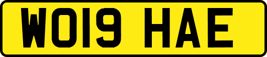 WO19HAE