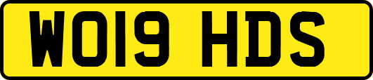 WO19HDS