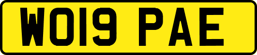 WO19PAE
