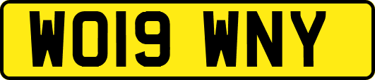 WO19WNY