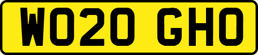 WO20GHO
