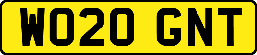 WO20GNT