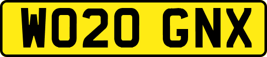 WO20GNX