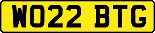 WO22BTG