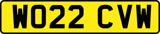 WO22CVW