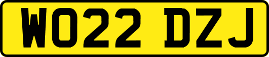 WO22DZJ