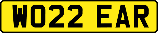 WO22EAR