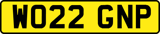 WO22GNP