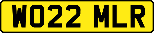 WO22MLR