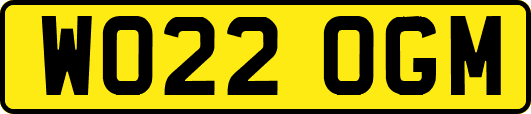 WO22OGM