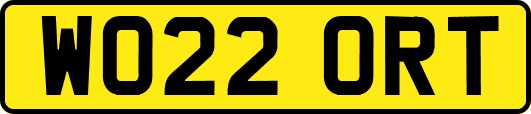 WO22ORT
