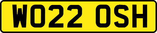 WO22OSH