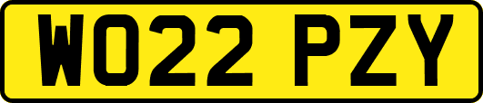 WO22PZY