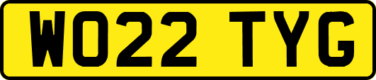 WO22TYG