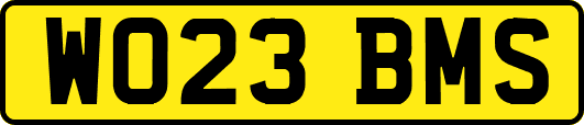 WO23BMS