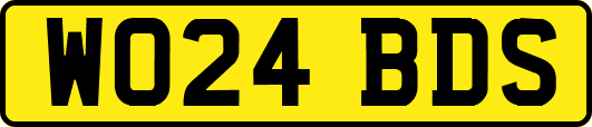 WO24BDS