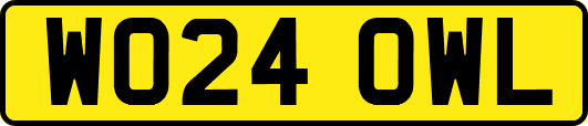 WO24OWL