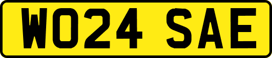 WO24SAE