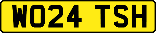 WO24TSH
