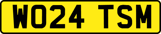 WO24TSM