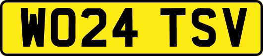 WO24TSV