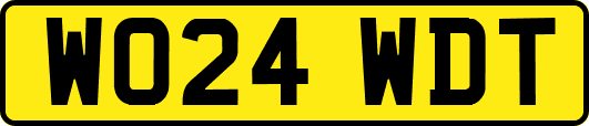 WO24WDT