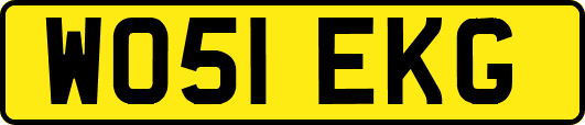 WO51EKG