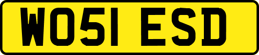 WO51ESD