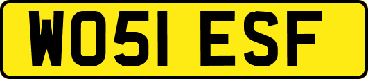 WO51ESF