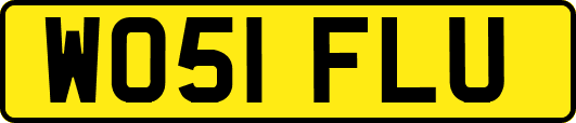 WO51FLU