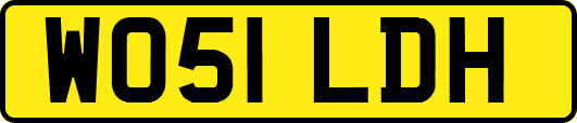 WO51LDH