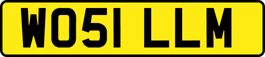 WO51LLM