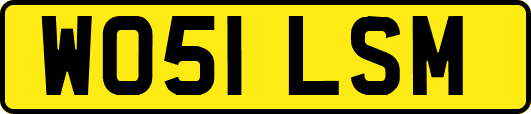 WO51LSM