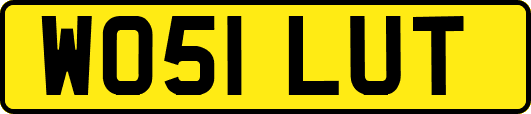 WO51LUT