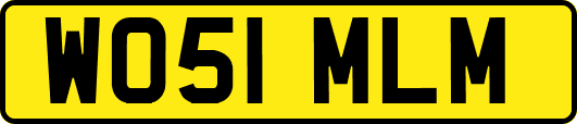 WO51MLM