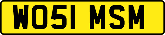 WO51MSM