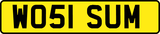 WO51SUM