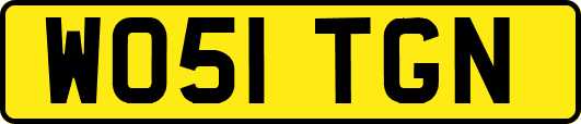 WO51TGN