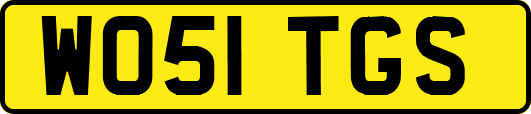 WO51TGS