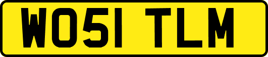 WO51TLM
