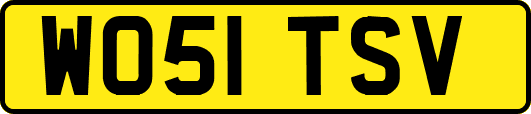 WO51TSV
