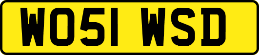 WO51WSD