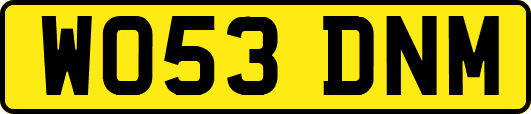WO53DNM