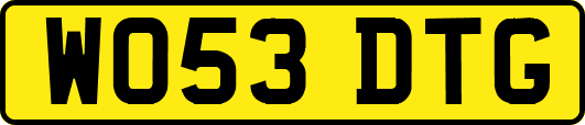 WO53DTG