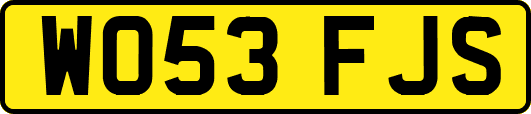 WO53FJS