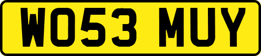 WO53MUY