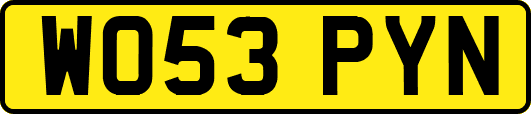 WO53PYN