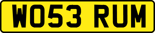 WO53RUM